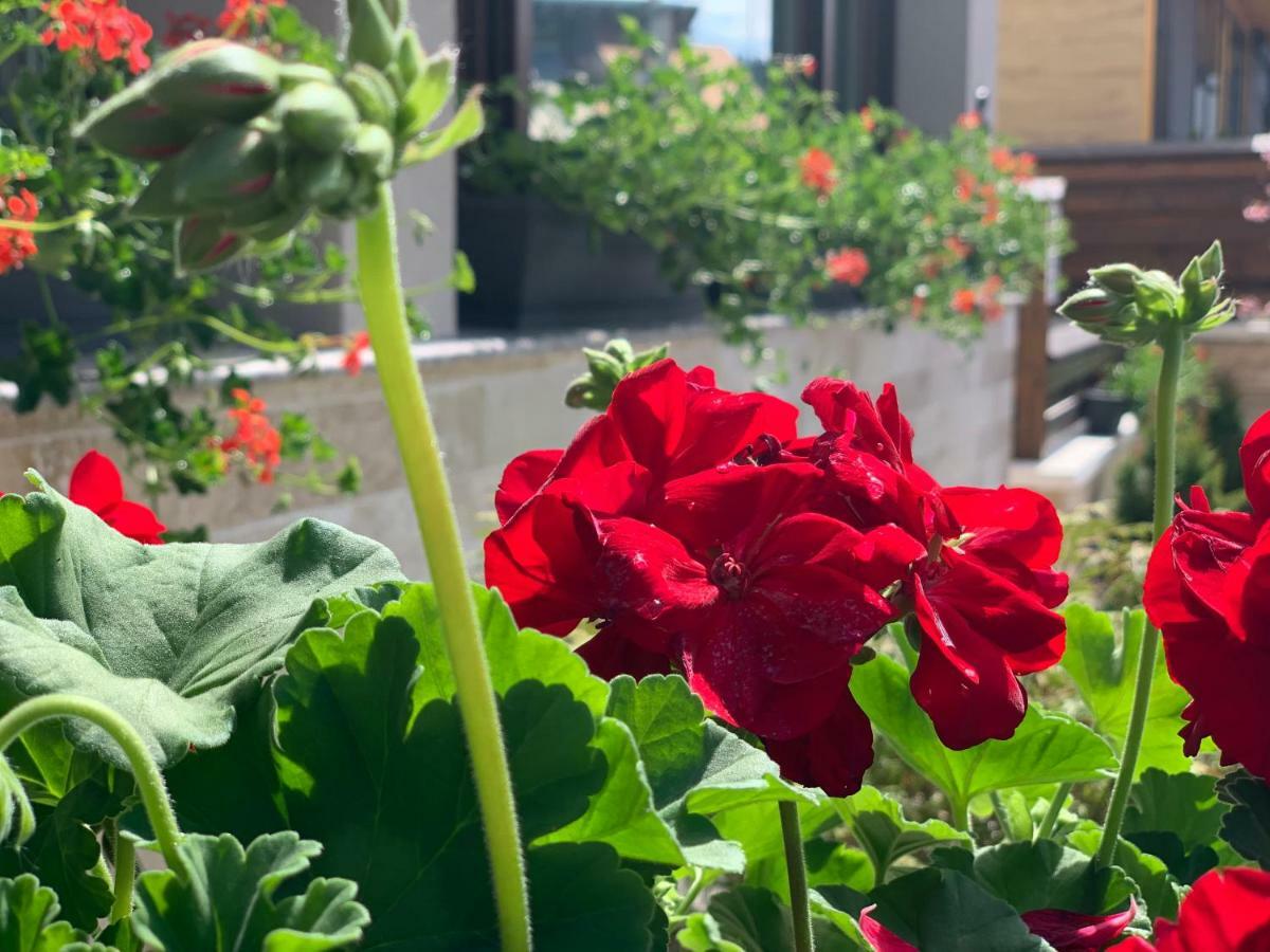 Garden Apart Predeal Bagian luar foto