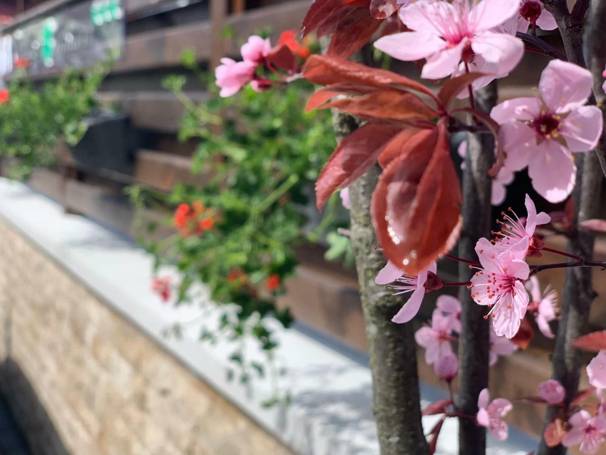 Garden Apart Predeal Bagian luar foto